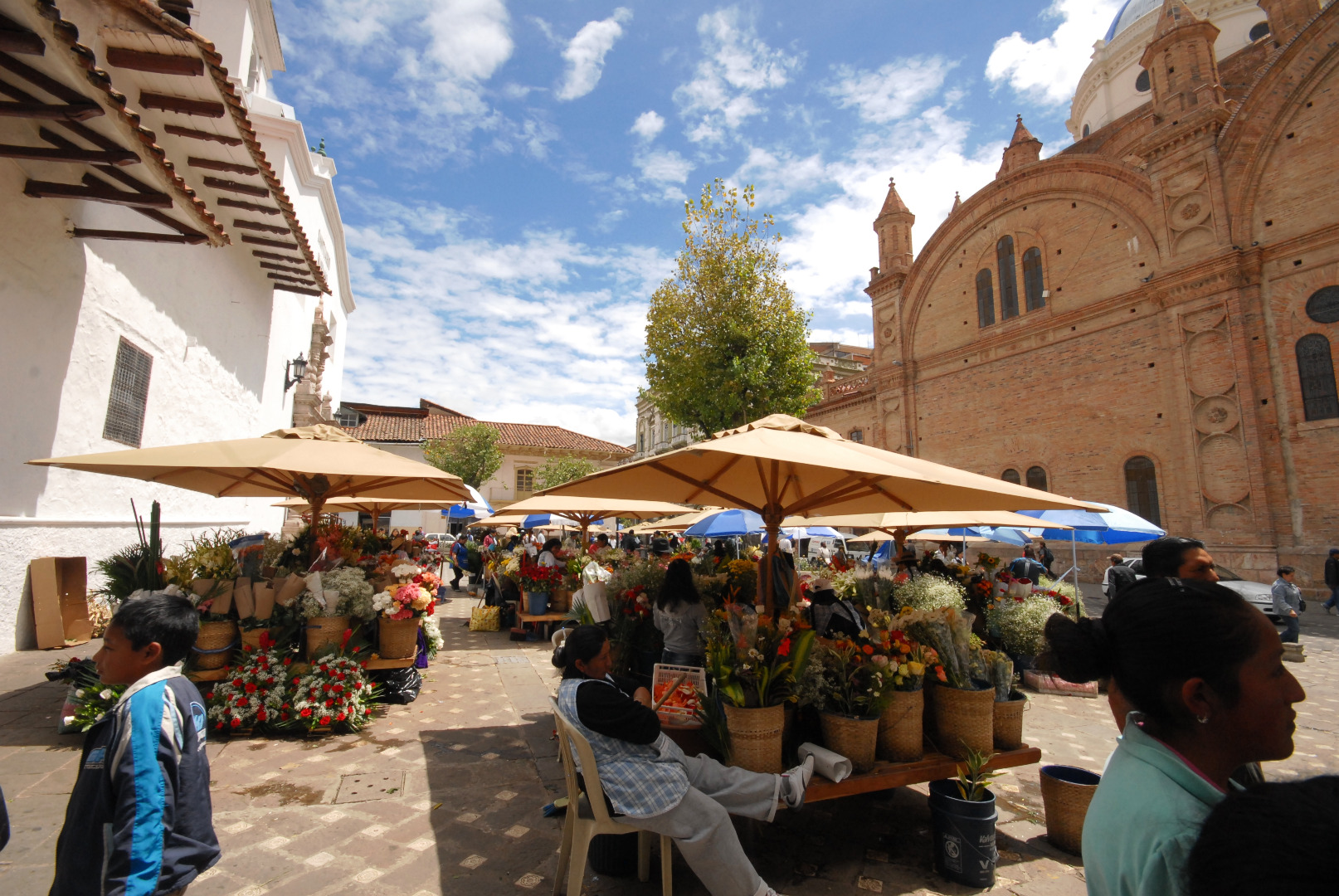 flower market cuenca.jpg