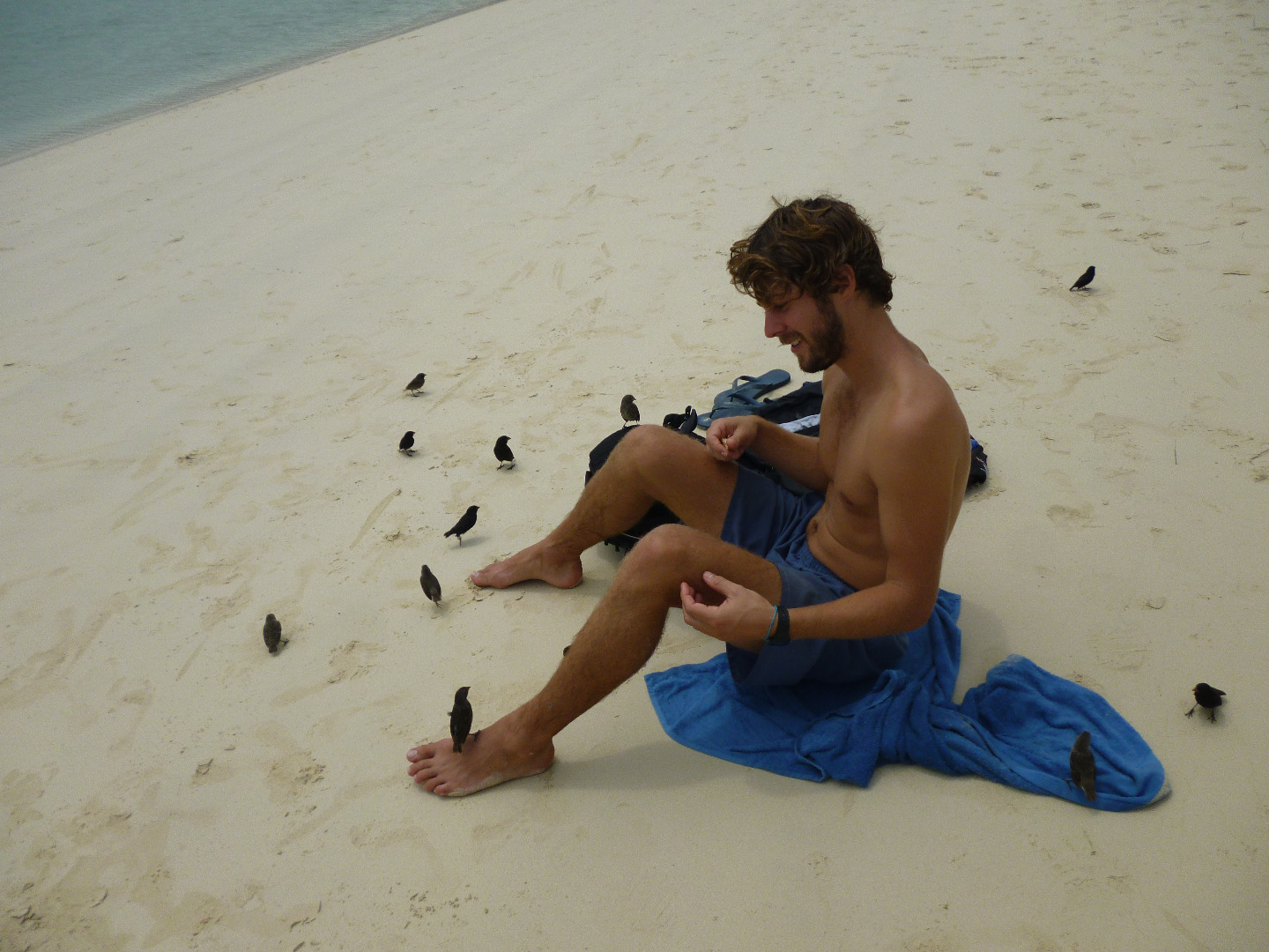 man with finches.jpg